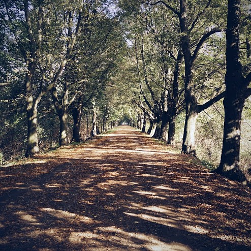 herbst